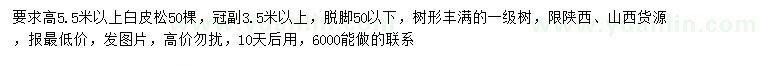 求購高5.5米以上白皮松