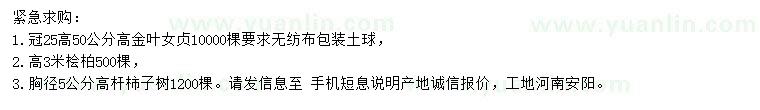 求購金葉女貞、檜柏、柿子樹