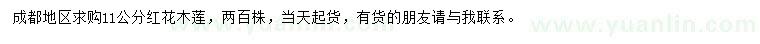 求購11公分紅花木蓮