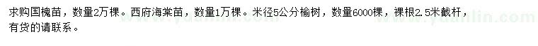 求購國槐、西府海棠、榆樹