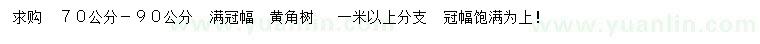 求購70-90公分黃角樹