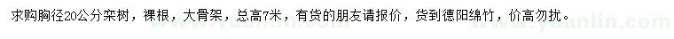 求購胸徑20公分欒樹