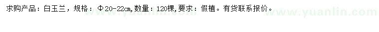 求購20-22公分白玉蘭