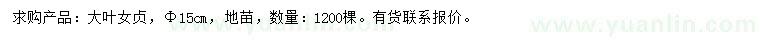 求購15公分大葉女貞