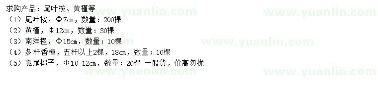 求購(gòu)尾葉桉、黃槿、南洋楹等