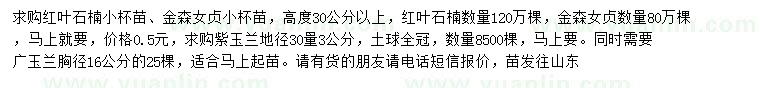 求購紅葉石楠小苗、金森女貞小苗、紫玉蘭等