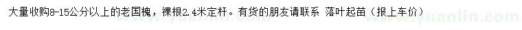 求購8-15公分以上老國槐