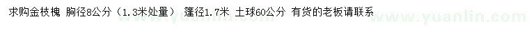 求購胸徑8公分金枝槐