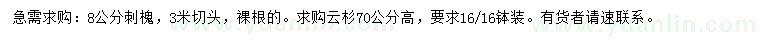 求購8公分刺槐、高70公分云杉