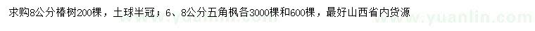 求購8公分椿樹、6、8公分五角楓