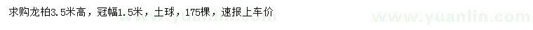 求購高3.5米龍柏