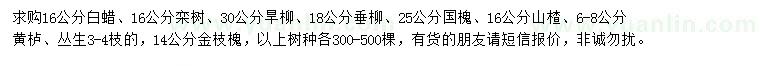 求購白蠟、欒樹、旱柳等