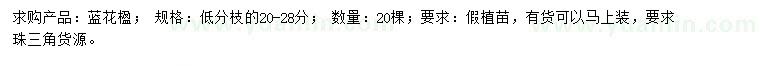 求購20-28公分藍(lán)花楹