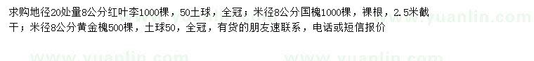 求購紅葉李、國槐、黃金槐