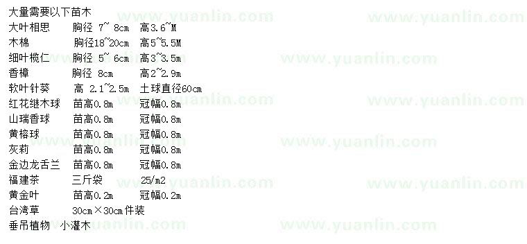 求購(gòu)大葉相思、木棉、細(xì)葉欖仁等