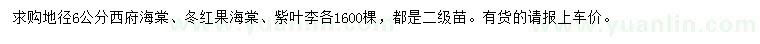 求購西府海棠、冬紅果海棠、紫葉李