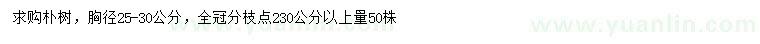 求購胸徑25-30公分樸樹