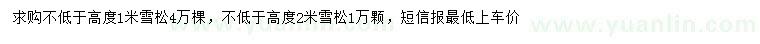 求購(gòu)高1、2米雪松