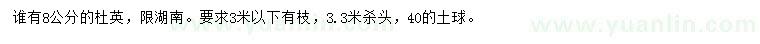 求購8公分杜英