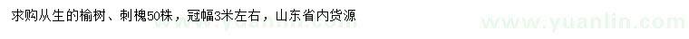 求購(gòu)冠幅3米左右叢生榆樹(shù)、刺槐