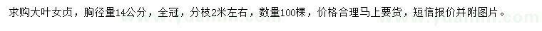 求購胸徑14公分大葉女貞