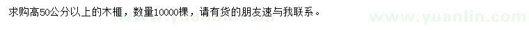求購高50公分以上木榧