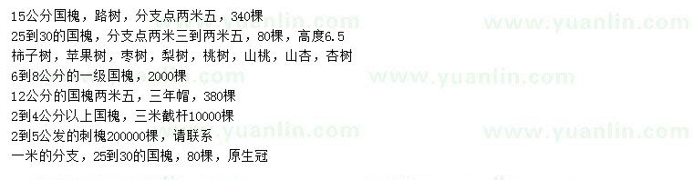 求購國槐、刺槐 、山杏等