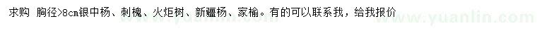 求購銀中楊、刺槐、火炬樹等