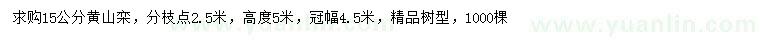 求購15公分黃山欒