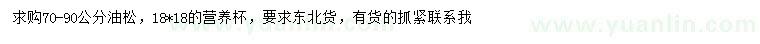 求購(gòu)70-90公分油松