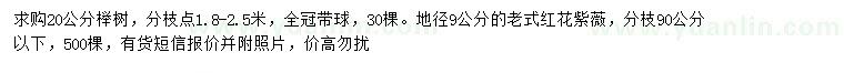 求購20公分櫸樹、地徑9公分老式紅花紫薇