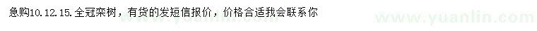 求購10、12、15公分欒樹