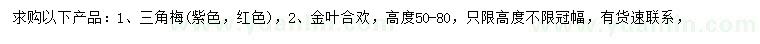 求購三角梅、高50-80公分金葉合歡