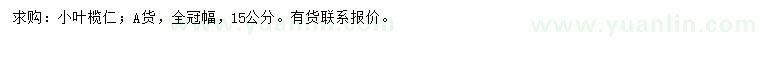 求購15公分小葉欖仁