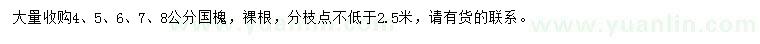 求購4、5、6、7、8公分國槐