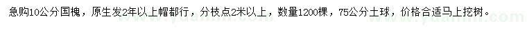 求購(gòu)10公分國(guó)槐