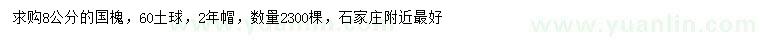 求購8公分國槐