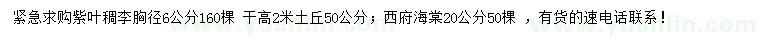 求購(gòu)胸徑6公分紫葉稠李、20公分西府海棠
