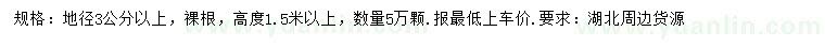 求購地徑3公分以上楓香