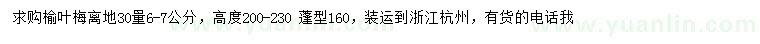 求購地徑6-7公分榆葉梅