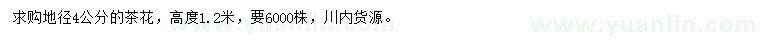 求購地徑4公分茶花