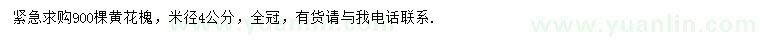 求購(gòu)米徑4公分黃花槐