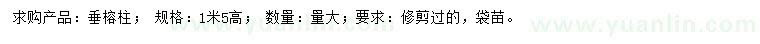 求購高1.5米垂榕柱