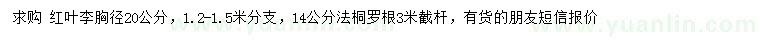 求購(gòu)胸徑20公分紅葉李、14公分法桐