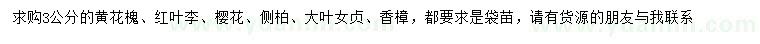 求購黃花槐、紅葉李、櫻花等