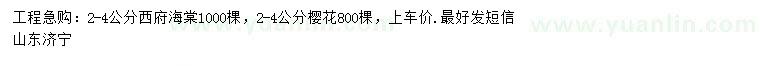 求購2-4公分西府海棠、櫻花