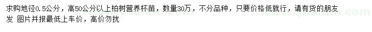 求購地徑0.5公分柏樹