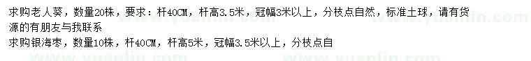 求購(gòu)桿高3.5米老人葵、銀海棗