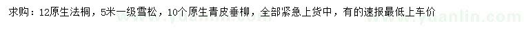 求購原生法桐、雪松、青皮垂柳