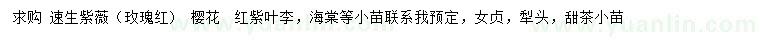 求購(gòu)速生紫薇、櫻花、紅紫葉李等小苗